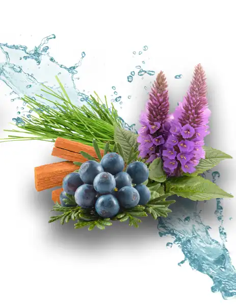 Laundered Luxury Clean Fragrance - Clean Fragrances